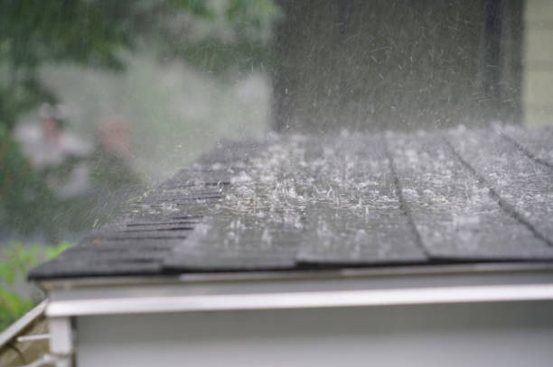Best Roof Maintenance and Cleaning  in Fetters Hot Springs Agua Liente, CA
